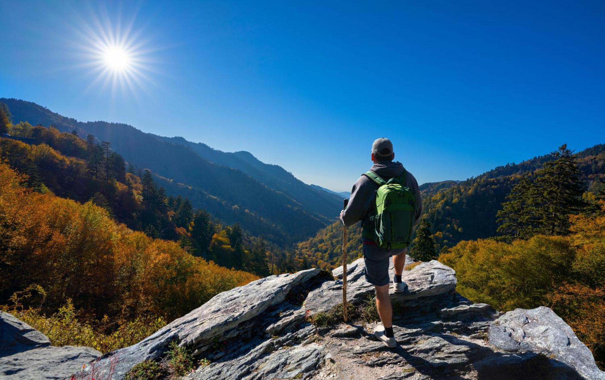 Highland Dream, Hot Tub, 1089 Free Tickets Each Paid Day, Dollywood And More سيفيرفيل المظهر الخارجي الصورة