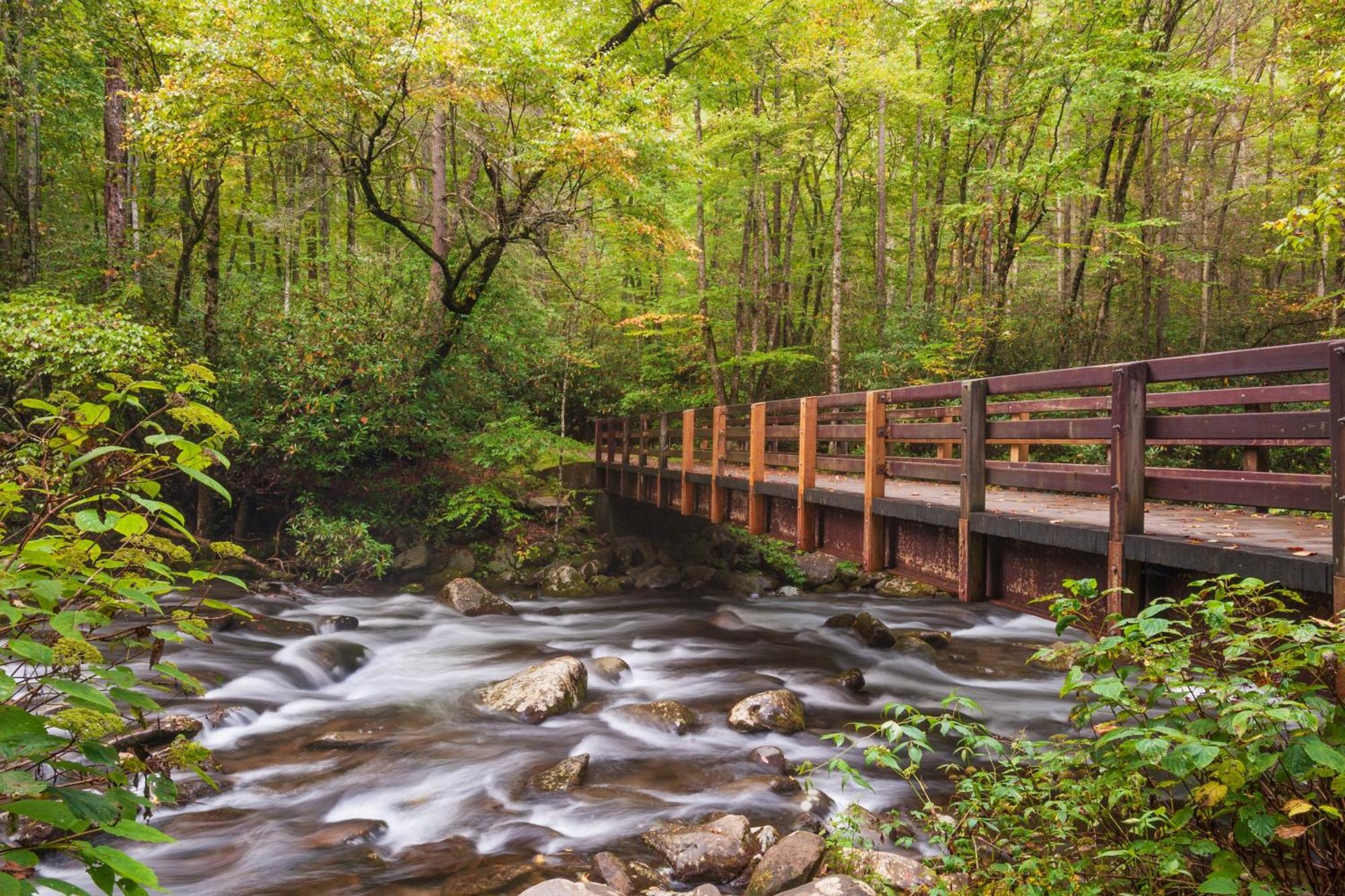 Highland Dream, Hot Tub, 1089 Free Tickets Each Paid Day, Dollywood And More سيفيرفيل المظهر الخارجي الصورة